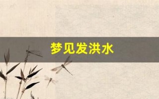 梦见发洪水(梦见发洪水自己逃生成功)