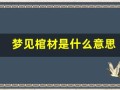 梦见棺材是什么意思(做梦梦见棺材是什么意思)