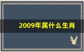2009年属什么生肖(2005年属什么生肖)