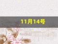11月14号(11月14号是什么星座)