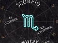 11月19日是什么星座(11月09是什么星座)