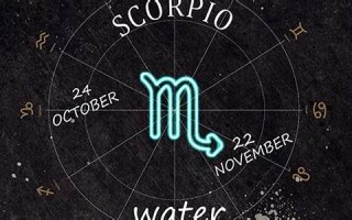 11月19日是什么星座(12月19日是什么星座)