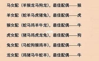 生肖速配(十二生肖速配)