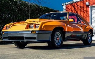 1980(1980年五行属什么)