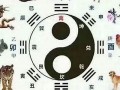 属蛇的和什么属相最配(蛇配什么生肖最好婚姻)