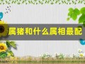 属猪和什么属相最配