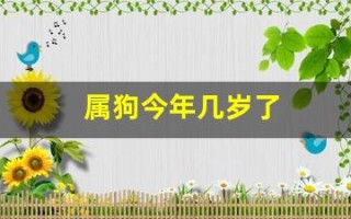 属狗今年几岁了(属狗今年几岁了2024)