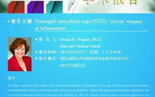 2017年4月17日(2017年4月17日出生是什么命)