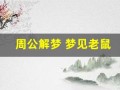 周公解梦 梦见老鼠(周公解梦梦见老鼠咬自己是什么意思)