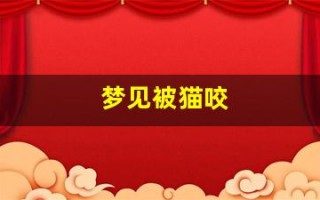 梦见被猫咬(梦见被猫咬是什么意思 周公解梦)
