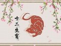 2022年属鼠人的全年运势(2022年属狗人的全年运势详解)