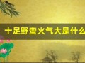 十足野蛮火气大是什么生肖(野气十足是不是成语)