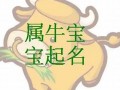 张姓牛宝宝取名(张姓牛宝宝好名字)