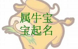 张姓牛宝宝取名(张氏牛宝宝名字)