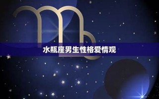 水瓶座-性格分析(水瓶座性格分析图)
