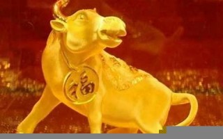 2013属牛的运程(属牛的多大)