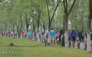 2016年4月8日(2016年4月8日出生是什么星座)
