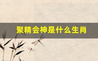 聚精会神是什么生肖(聚精会神是什么生肖动物)