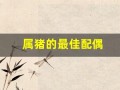 属猪的最佳配偶(1996年属猪的最佳配偶)
