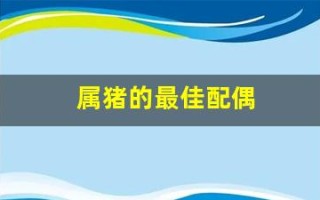 属猪的最佳配偶(1996年属猪的最佳配偶)