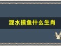 混水摸鱼什么生肖(混水摸鱼什么生肖数字)