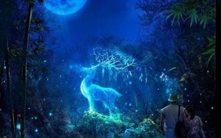 梦到(梦到蛇)