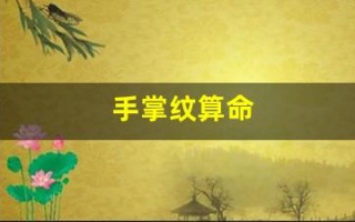 手掌纹算命(手掌纹算命图解)