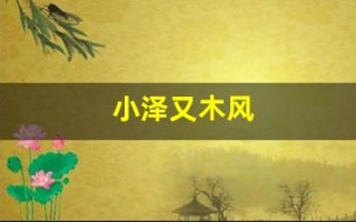 小泽又木风(小则又沐风是谁)