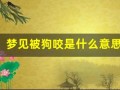 梦见被狗咬是什么意思(女人梦见狗咬是吉兆)