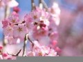 2016年5月9日(2016年5月9日广告)