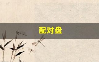 配对盘(配对盘和比较盘的区别)