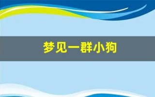 梦见一群小狗(梦见一群小狗咬我是什么意思)