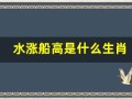 水涨船高是什么生肖(水涨船高意思是什么)
