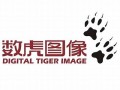 数虎(数虎的和数什么属相的合适)