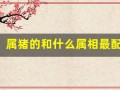 属猪的和什么属相最配(男猪和什么属相最配)