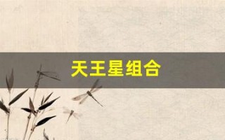 天王星组合(天王星组合有谁)