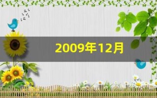 2009年12月(2009年12月2日农历多少)