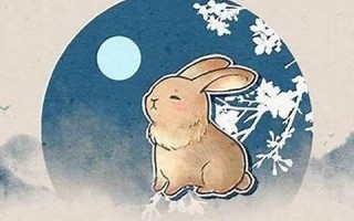 属兔的几月出生好(属兔的几月出生好运势网)