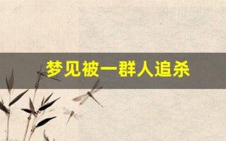 梦见被一群人追杀(梦见被一群人追赶)