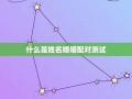 婚姻配对测试(婚姻配对测试八字免费)