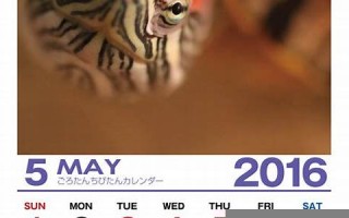 5月16日(5月16日出生的名人明星)