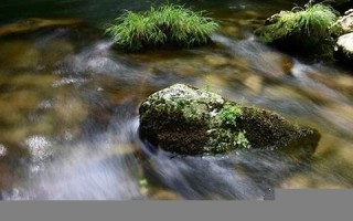 2016年7月6日(2016年7月6日是星期几)