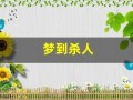 梦到杀人(梦到杀人被抓)