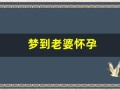 梦到老婆怀孕(梦到老婆怀孕了周公解梦)