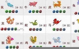 野心十足的生肖是什么生肖(野心指什么生肖)