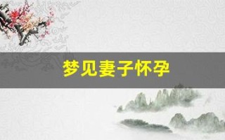 梦见妻子怀孕(丈夫梦见妻子怀孕)