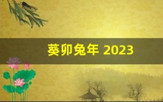 葵卯兔年 2023(葵卯兔年是哪一年)