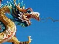 属龙的和什么属相最配(做生意属龙的和什么属相最配)