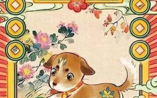 属狗配什么属相(属狗配什么属相财运好)