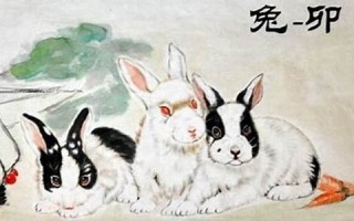 1987年属兔人2023年全年运势(1987年属兔2025年的运势及运程)